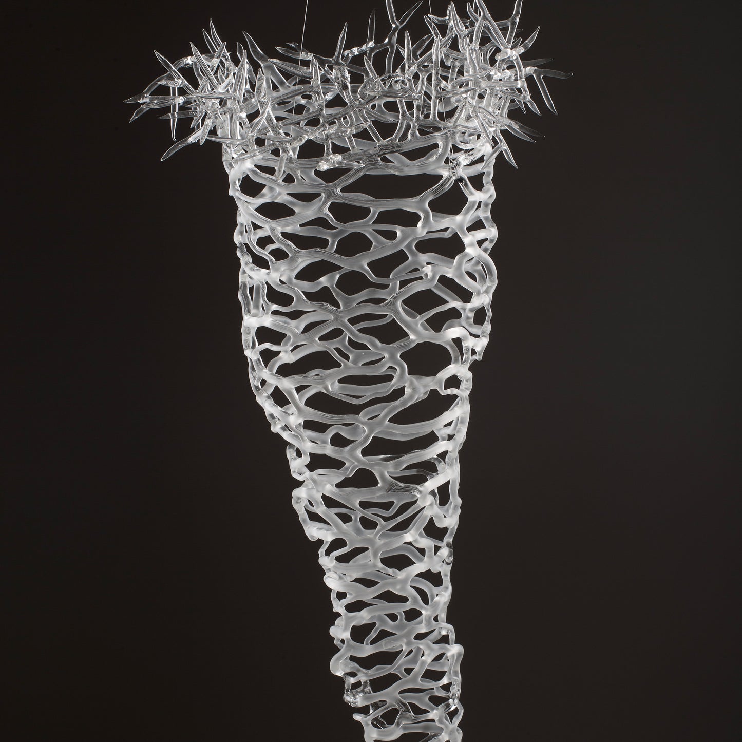 Borosilicate Networking