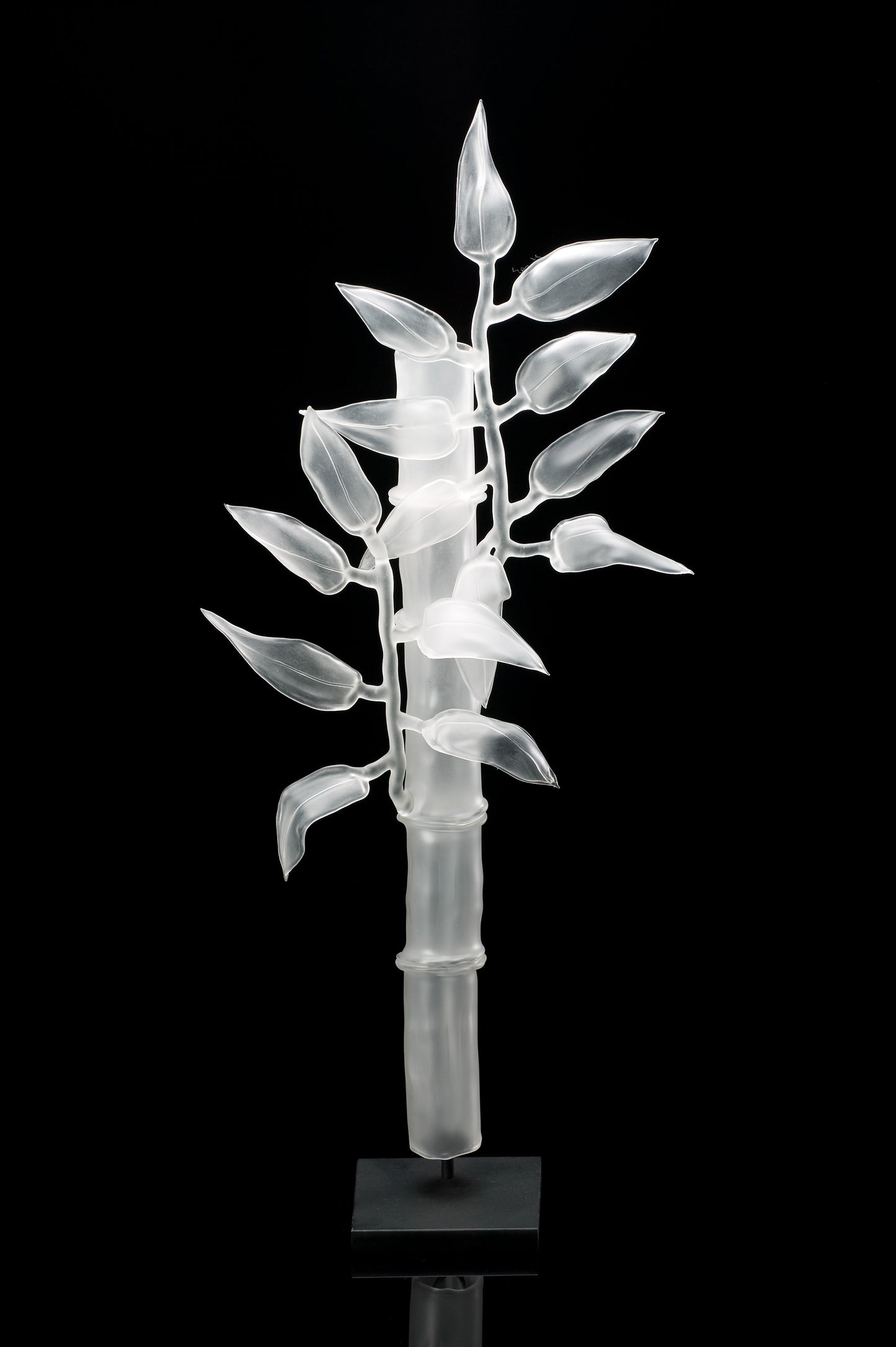 Botanicals, In Clear Glass (Borosilicate)