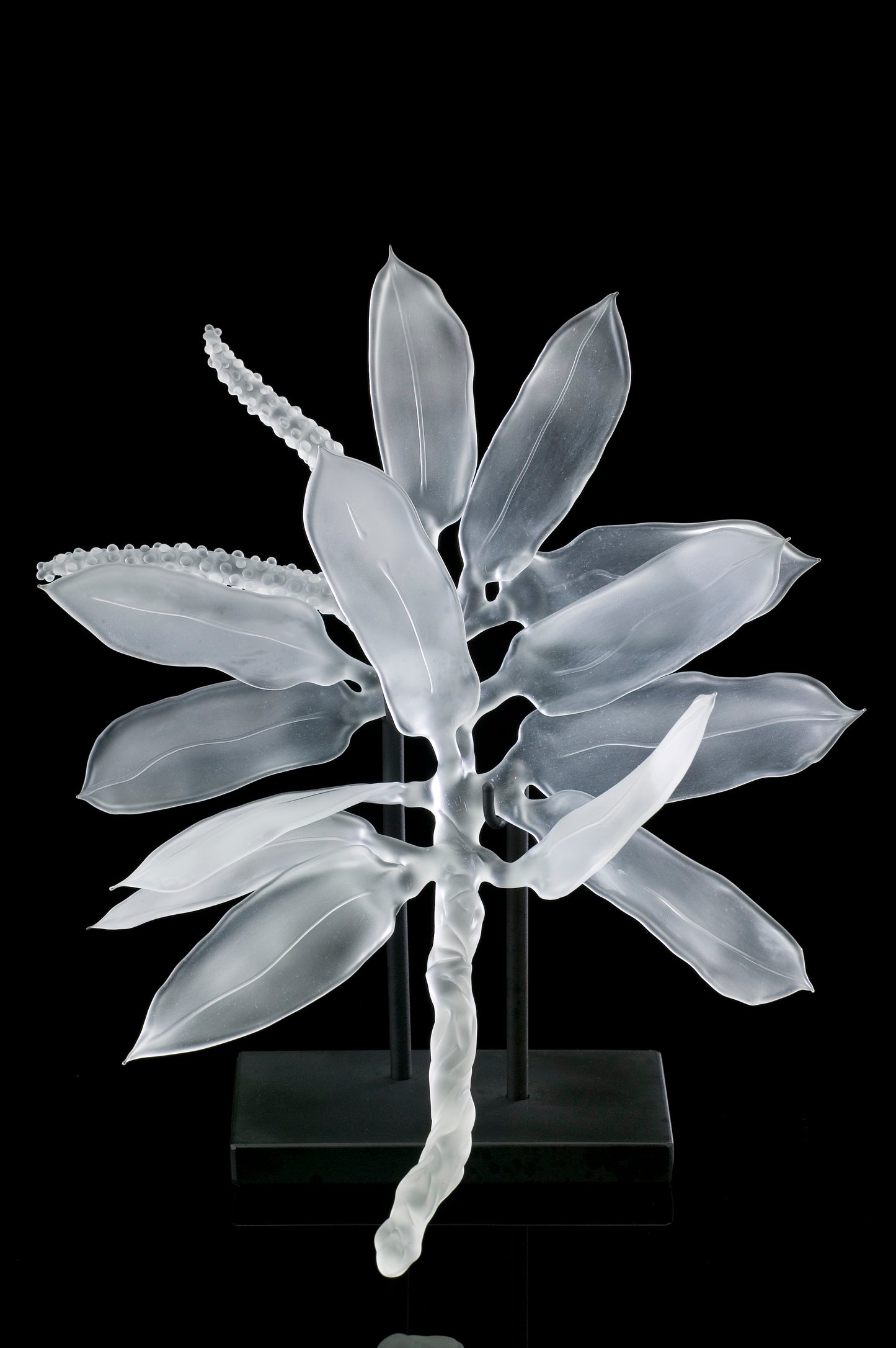 Botanicals, In Clear Glass (Borosilicate)