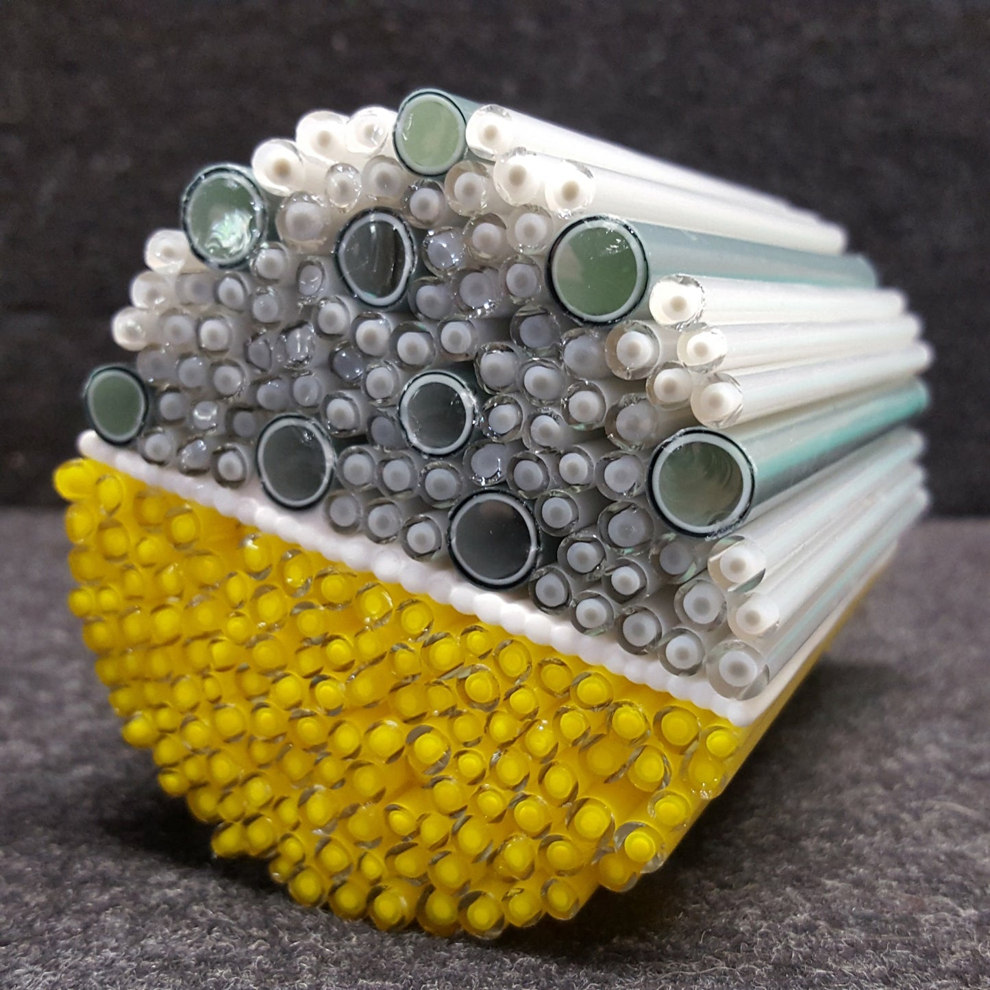 Penelope Rakov Lee Community Night