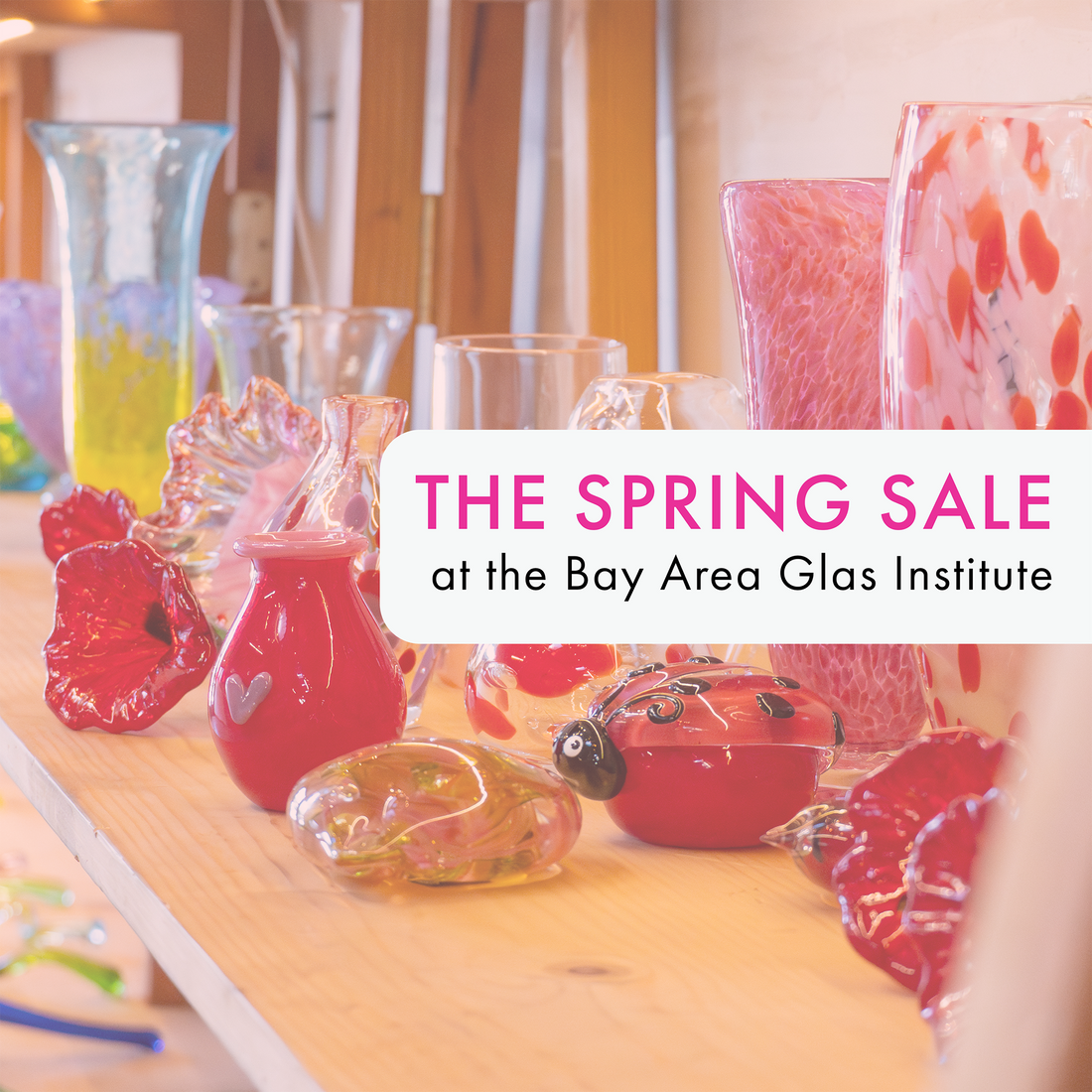BAGI's Spring Sale is Happening Now
