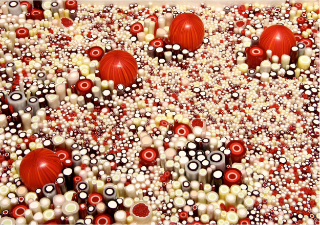 Penelope Rakov Lee Community Night